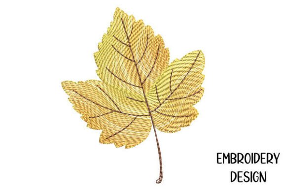 Download Single Autumn Leaf - Premium Resources